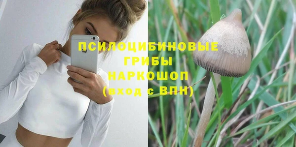 метадон Армянск
