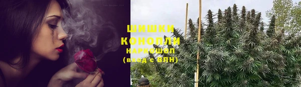 индика Балабаново