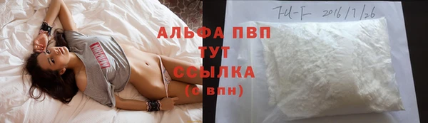 молекула духа Аркадак