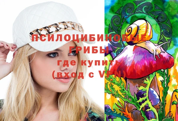 молекула духа Аркадак