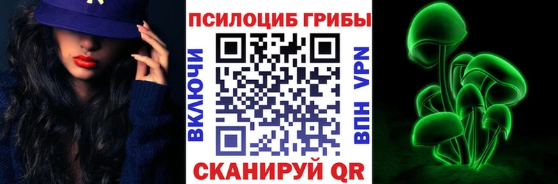 Псилоцибиновые грибы мухоморы  закладки  МЕГА зеркало  Скопин 